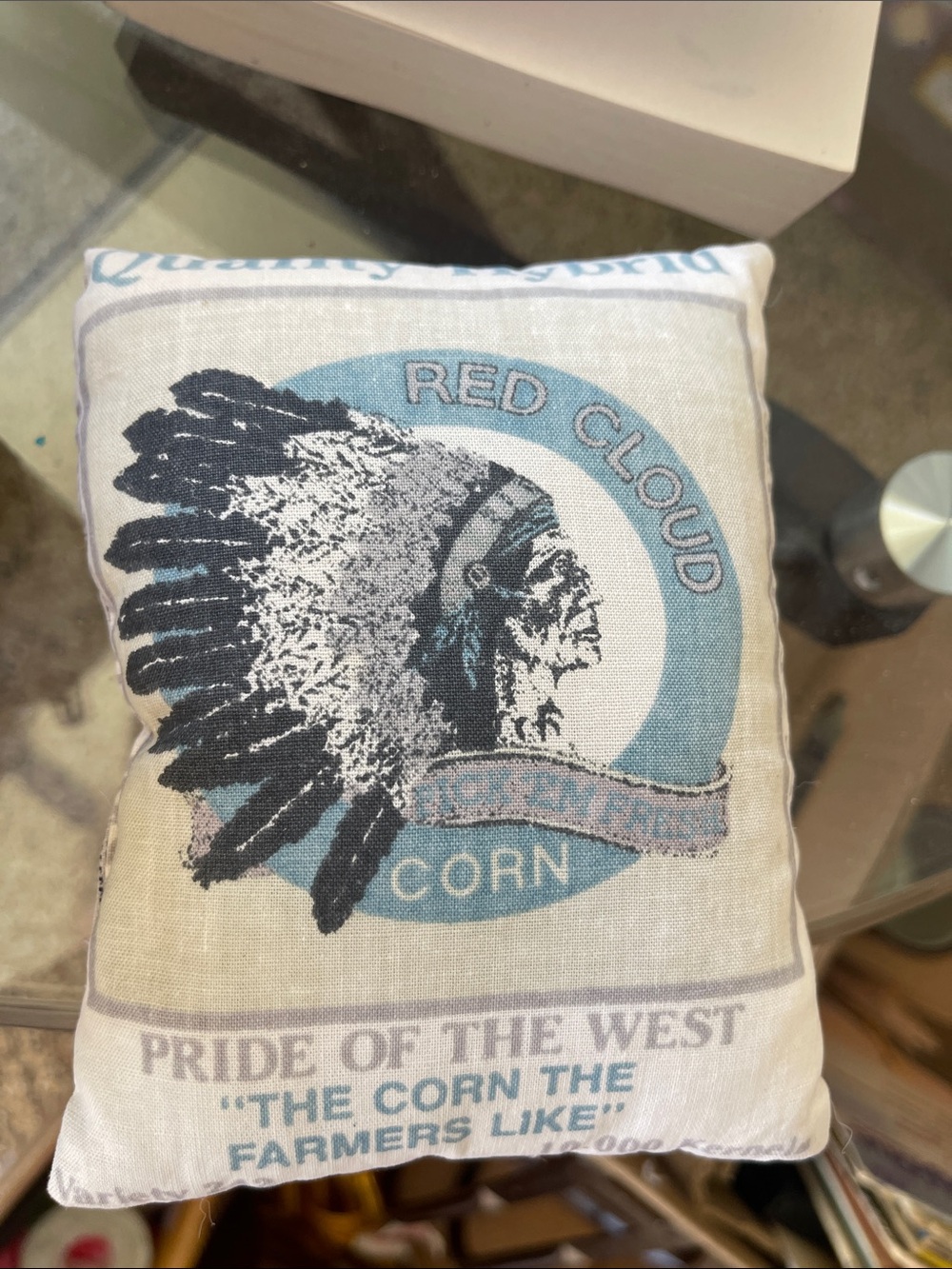 Red Cloud Printed Accent Pillow - Vintage Style Blue & Cream